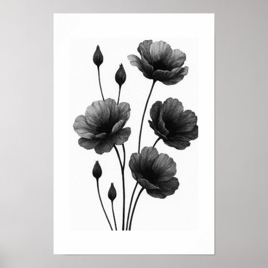 Affiche (Devant)