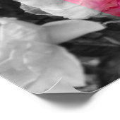 AFFICHE 11x14, fleur ROSE (Coin)