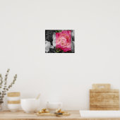 AFFICHE 11x14, fleur ROSE (Cuisine)