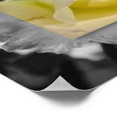 AFFICHE 14x11, fleur jaune (Coin)