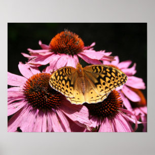 Affiche 19x15 "