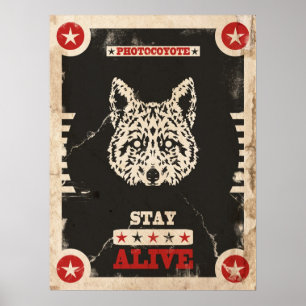 Affiche 2014 3 de Photocoyote
