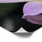 Affiche 20x20 (Coin)