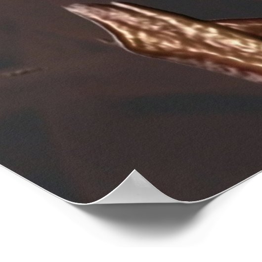 Affiche 24x24 (Coin)