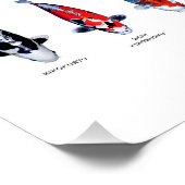 Affiche 45 Types de Koi (Coin)