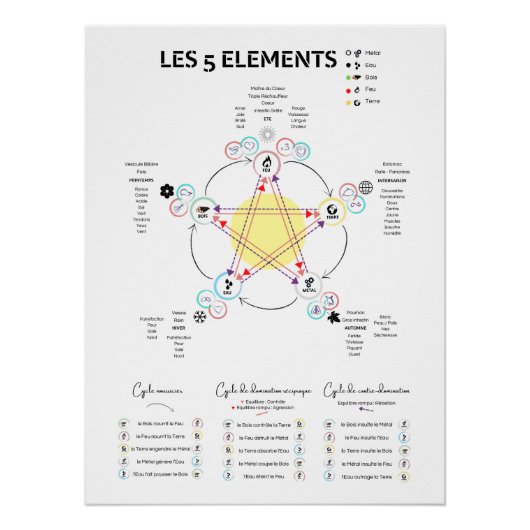 Affiche 5 éléments Médecine Chinoise (Devant)