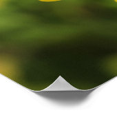 Affiche A3 Fleur Jaune Bonheur (Coin)