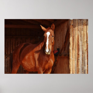 affiche à cheval de grange
