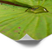 Affiche à motif triple lotus et nénuphar (Coin)