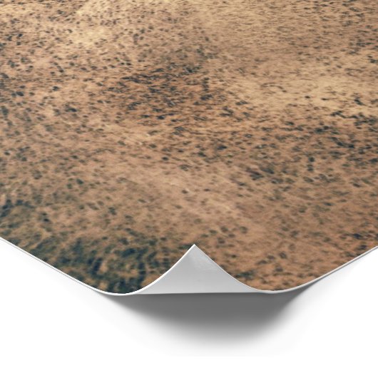 affiche à trois chevaux (Coin)