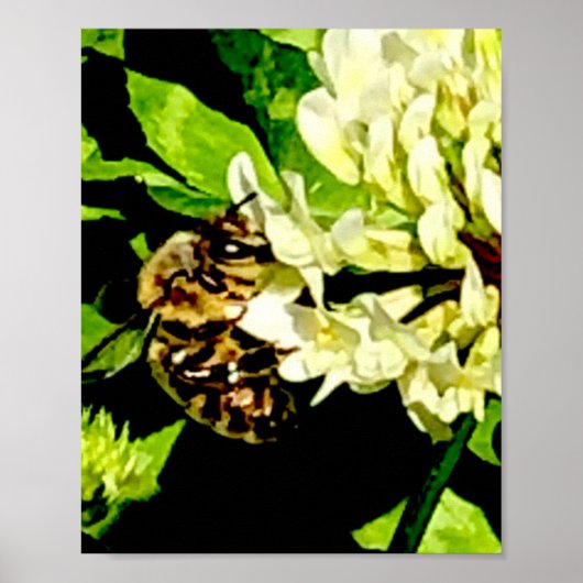 Affiche Abeille Bourdon (Devant)