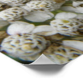 Affiche Abeille et Fleurs (Coin)