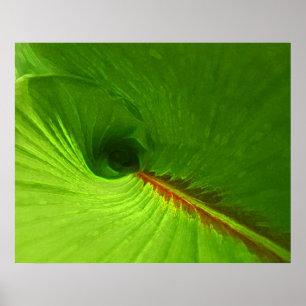 Affiche abstraite de spirale de feuille de