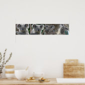 Affiche Adoptez un koala d'Australie (Cuisine)