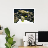 Affiche africaine Cichlids (Bureau à domicile)