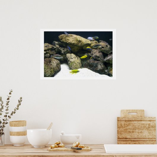 Affiche africaine Cichlids (Cuisine)