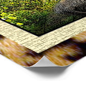 Affiche africaine de beauté (Coin)