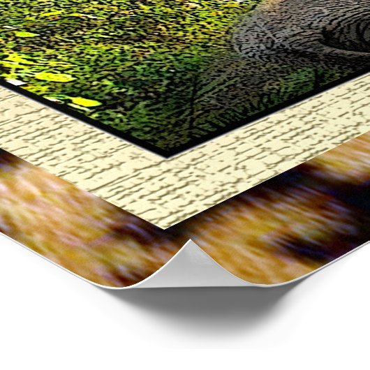 Affiche africaine de beauté (Coin)