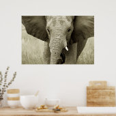 Affiche africaine Elephant, photo (Cuisine)