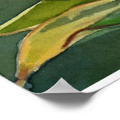 Affiche Agave attenuata (Coin)