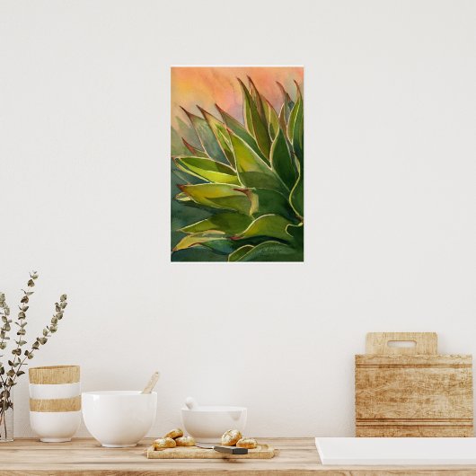 Affiche Agave attenuata (Cuisine)