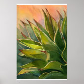 Affiche Agave attenuata (Devant)