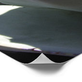 Affiche Agave parryi (Coin)