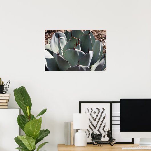 Affiche Agave parryi (Bureau à domicile)
