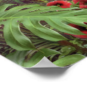 Affiche Alan Giana "Can You Imagine 2" (Coin)