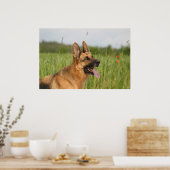 affiche allemande Shepherd Dog (Cuisine)