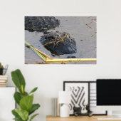 Affiche Alli le Gator (Bureau à domicile)