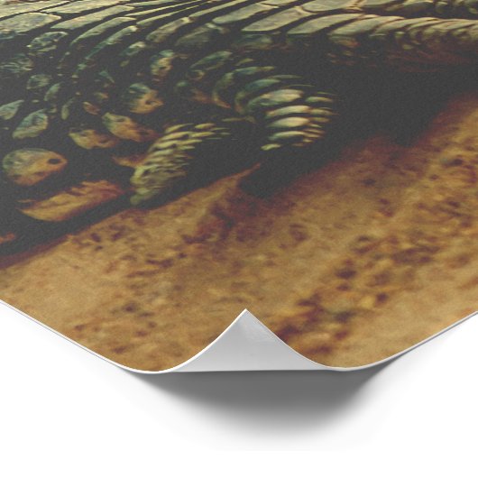 Affiche Alligator (Coin)