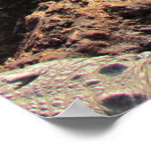 Affiche Alligator (Coin)