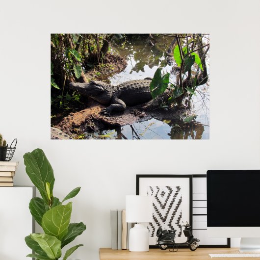 Affiche Alligator (Bureau à domicile)
