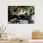 Affiche Alligator (Cuisine)