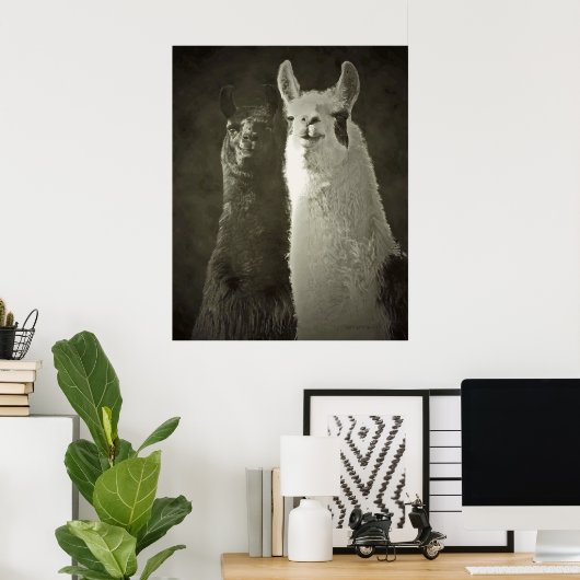 affiche alpacas (Bureau à domicile)