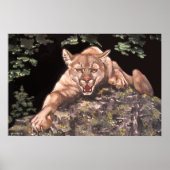 Affiche américaine Cougar (Devant)