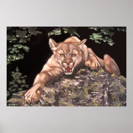 Affiche américaine Cougar (Devant)
