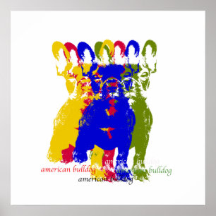 Affiche américaine de bouledogue