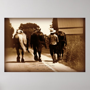 Affiche amish de la vie
