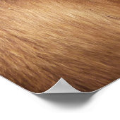 Affiche Année Du Singe Des Feux (Coin)