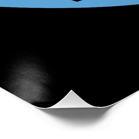 Affiche anti-Trump du Ship of Fools (Coin)