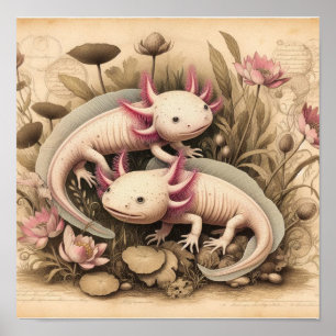 Affiche Antique d'Axolotl avec Plante Scientifique