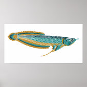 affiche arowana (Devant)