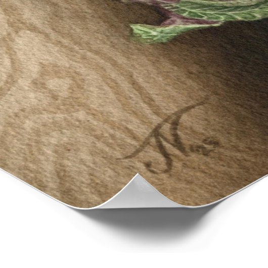 Affiche Askr (cendres) (Coin)