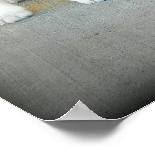 Affiche australienne des chiots (Coin)