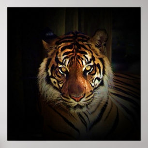 Affiche aux Yeux de Tigre - Impressions d'Art de l