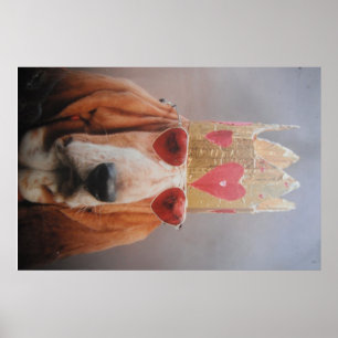 Affiche Basset Hound King