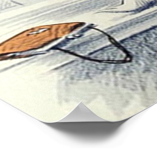 Affiche Be Kind To Animals (Coin)