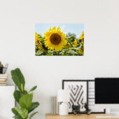 Affiche - Beau champ de tournesols (Bureau à domicile)